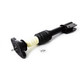 1991 Chevrolet Lumina Rear Pair Complete Struts Spring Assembly