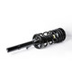 1989 Mercury Sable Rear Pair Complete Struts Spring Assembly
