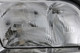1995-1999 Mercedes Benz S Class Headlight Passenger Right Side Halogen With Parking Light