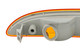2007-2011 Mercedes Benz S Class Side Marker Passenger Right Side