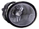 2000-2003 Nissan Sentra Fog Light Passenger Right Side