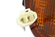 1999-2001 Subaru Impreza Turn Signal Light Passenger Right Side