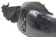 2010-2011 Buick Allure Front Fender Liner - Driver and Passenger Side