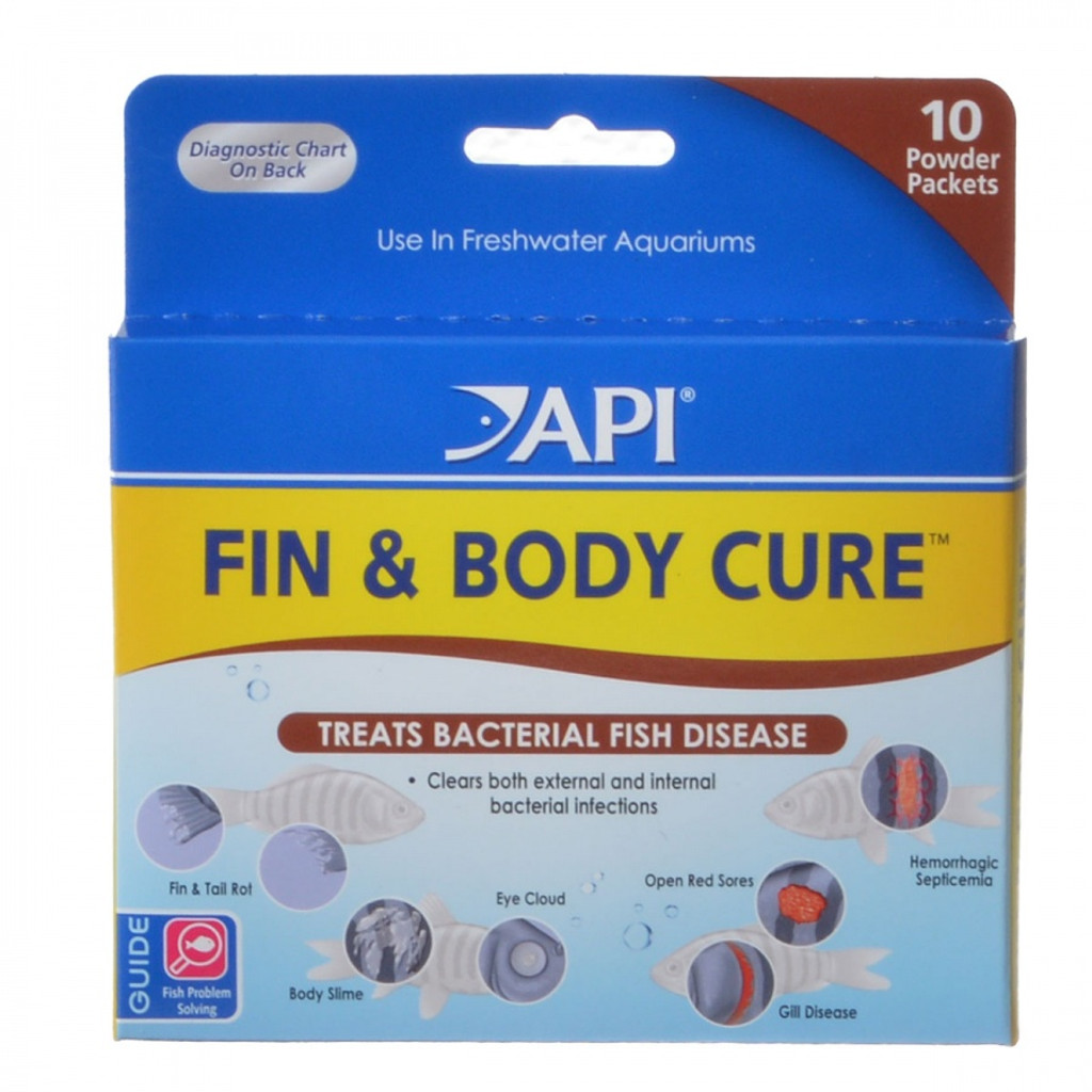  Api fin & body cure 10 חבילות אבקה 