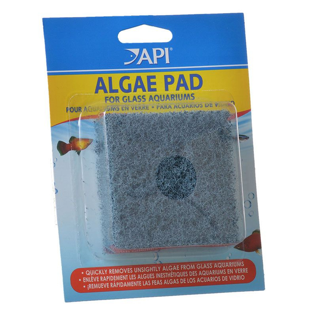 API Doc Wellfish's Hand Held Algae Pad for Glass Aquariums