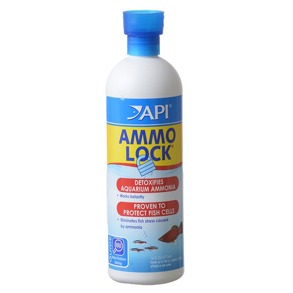 API Ammo Lock Desintoxicante de amoníaco para acuarios 16 oz (trata 946 galones)