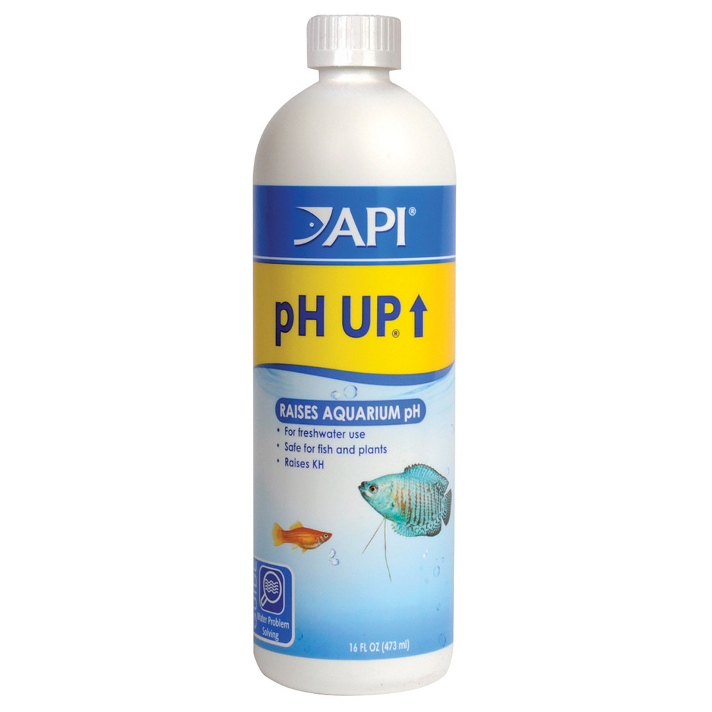 RA  pH Up - 16 fl oz
