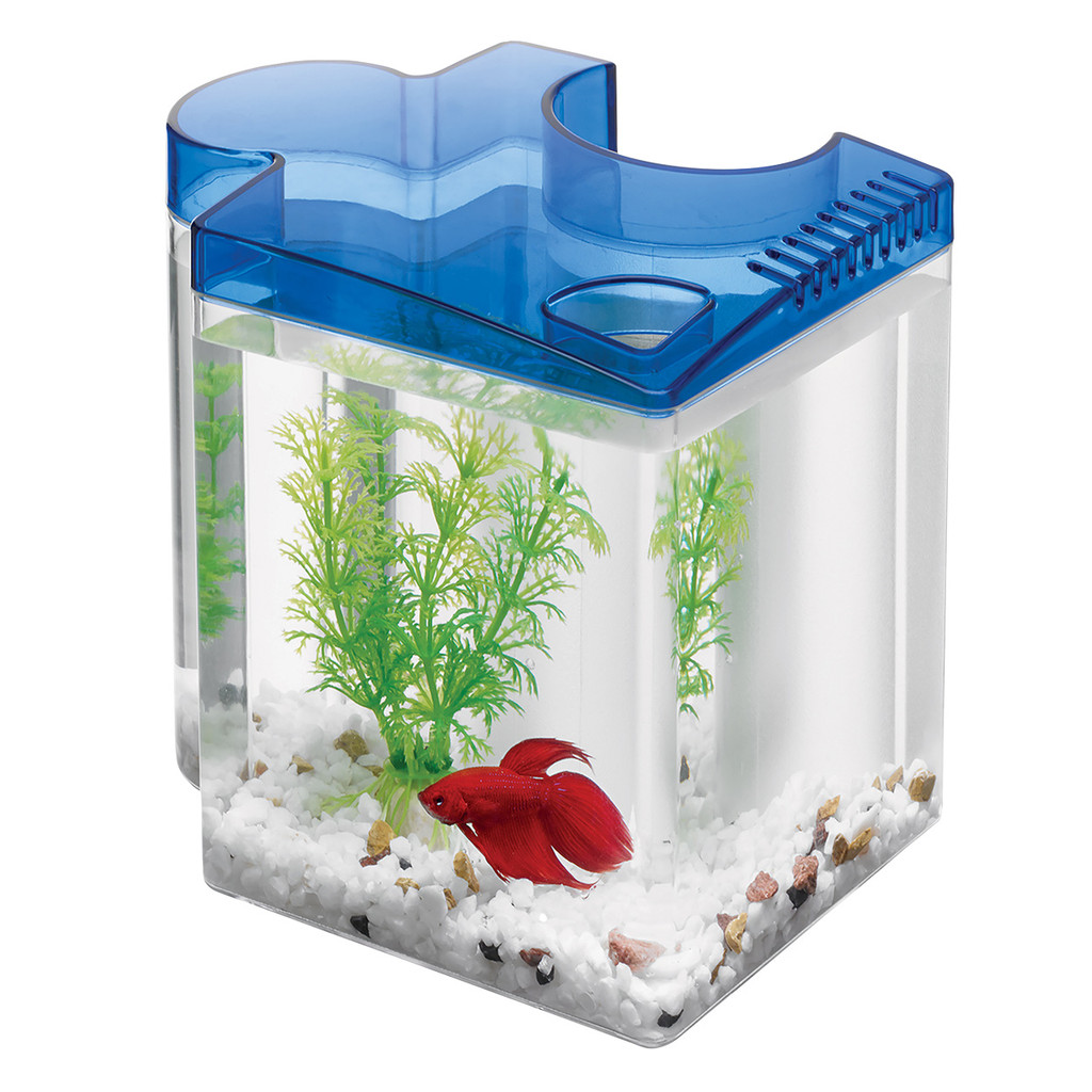 RA  Betta Puzzle Aquarium Kit - Blue
