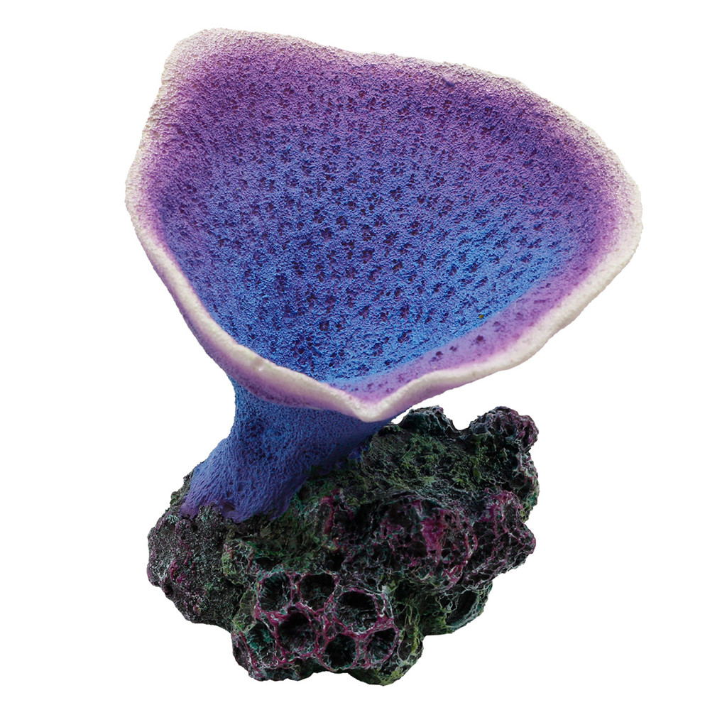 RA  Elephant Ear Coral - Purple
