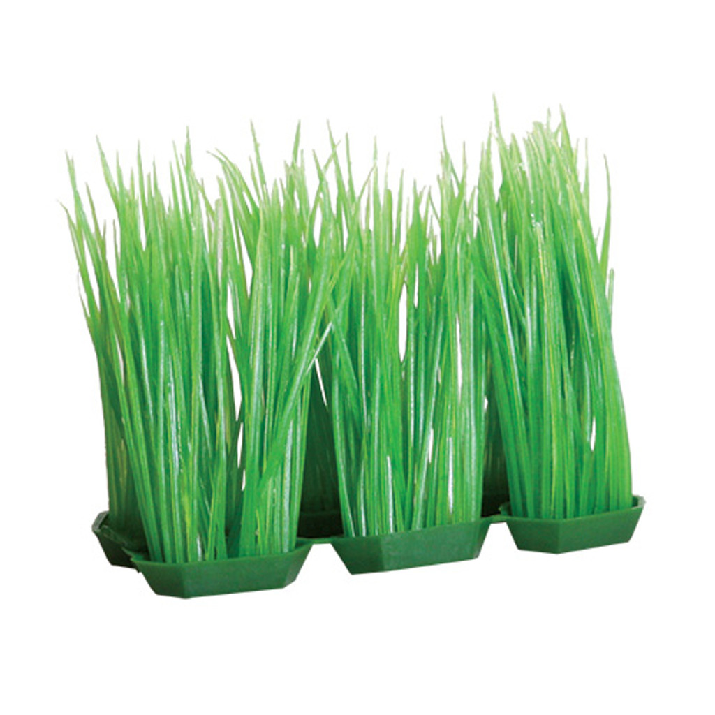 RA  Foregrounder - Green Hairgrass (6 Pod) - 4"
