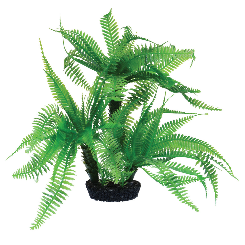 RA  Jurassic Fern - 10"
