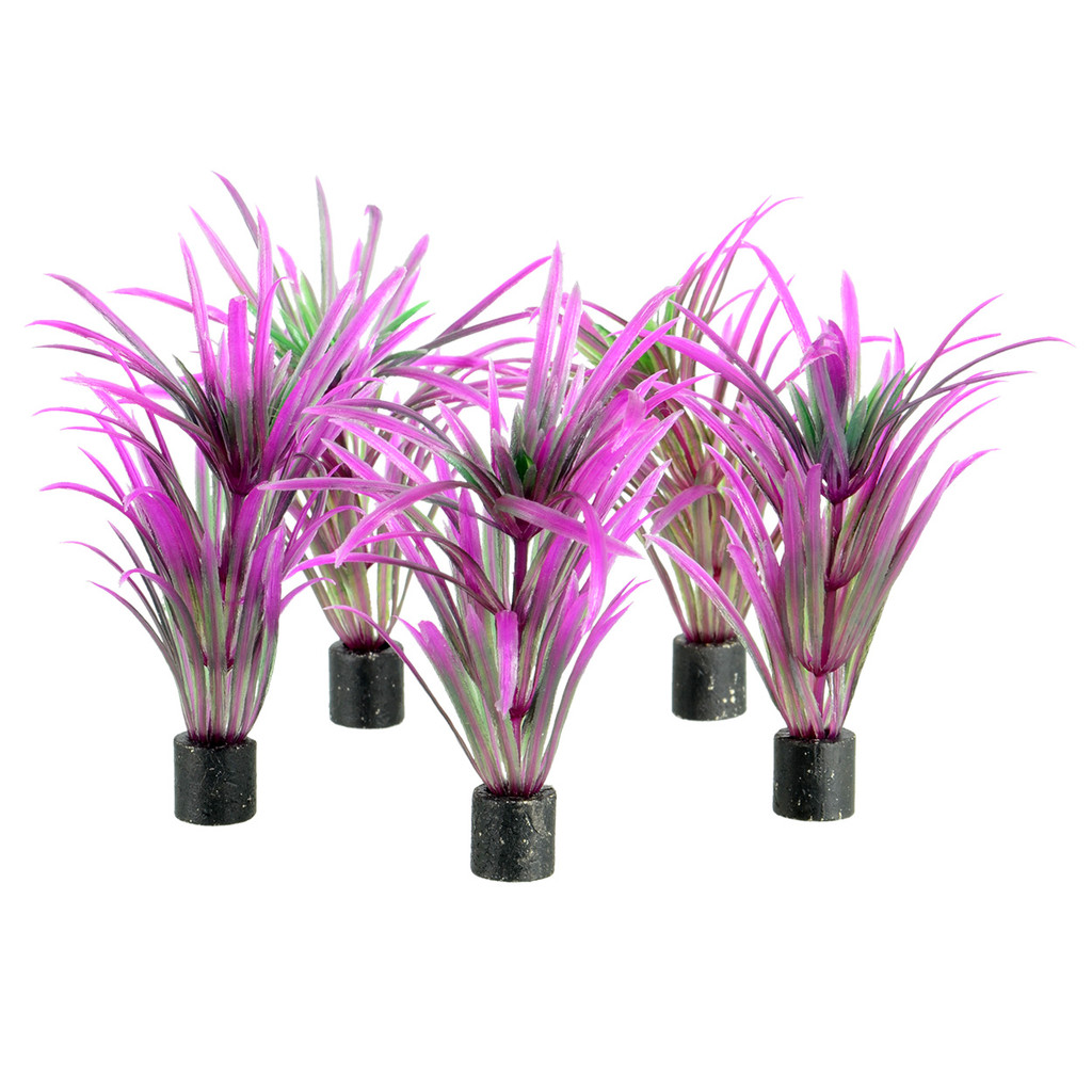 RA  Mini Plant - Purple Grass - 3" - 5 pk
