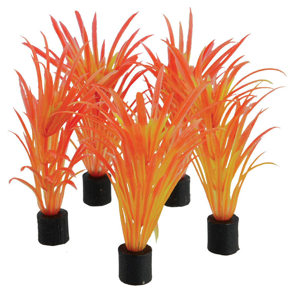 RA  Mini Plant - Sea Grass - 3.25" - 5 pk
