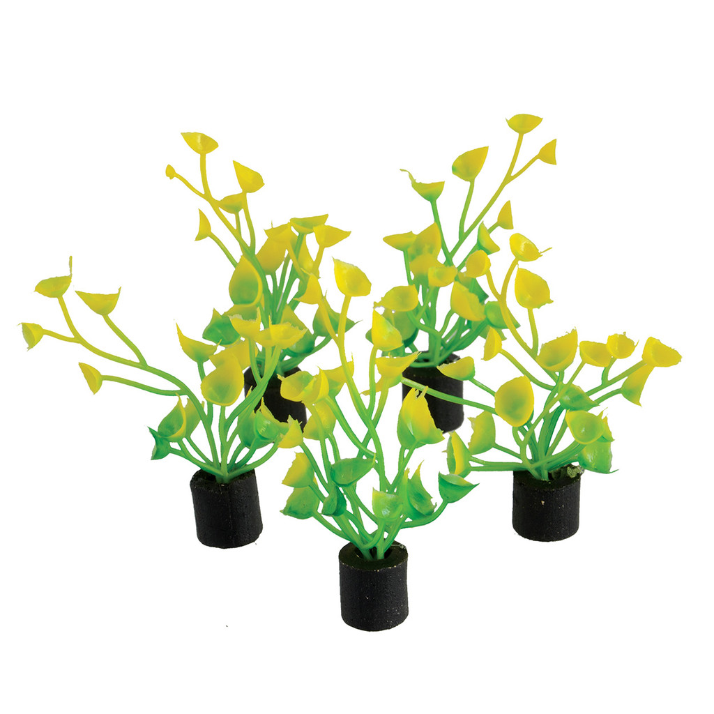 RA  Mini Plant - Yellow and Green - 2" - 5 pk
