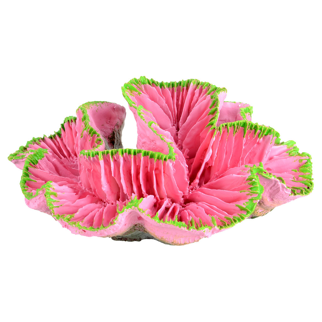 RA  Open Brain Coral - Pink - Small
