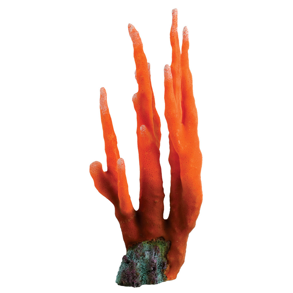 RA  Orange Finger Coral

