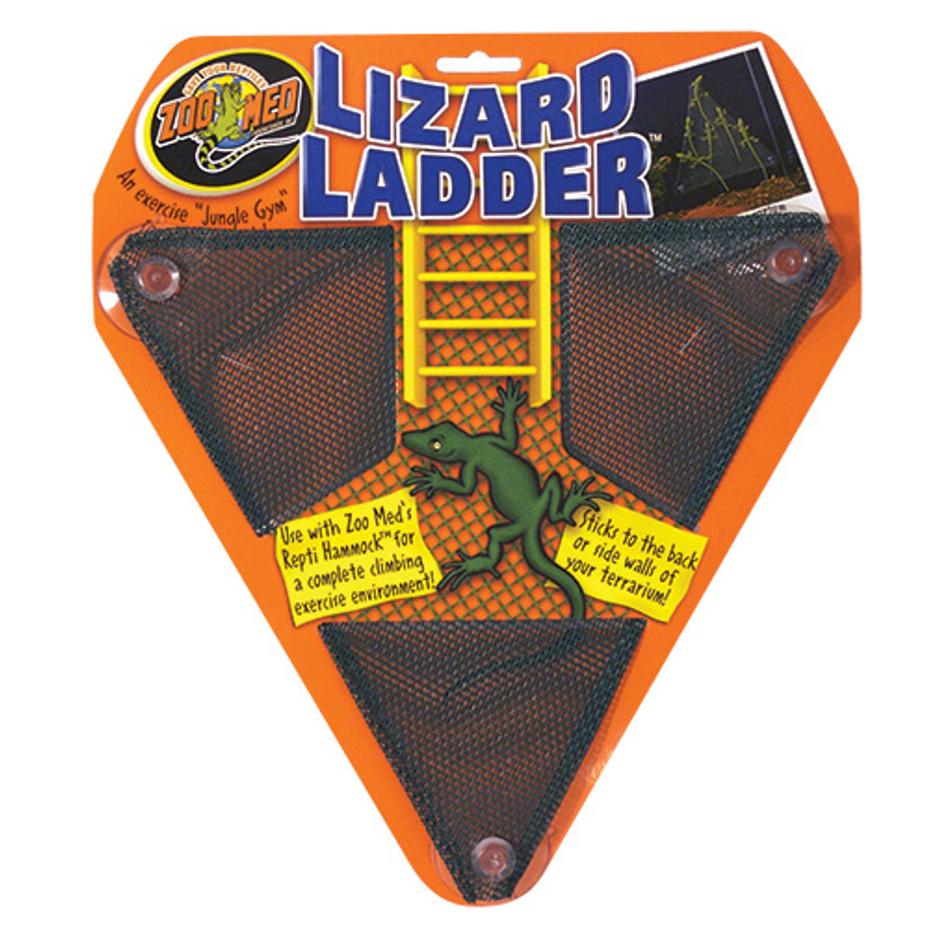 Escalera de lagarto Ra
