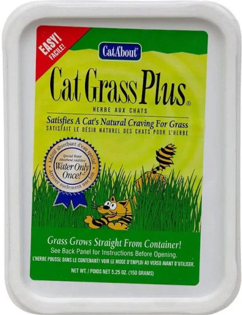 Gimborn Cat-A'bout Cat Grass Plus Multi-Cat 1 pièce