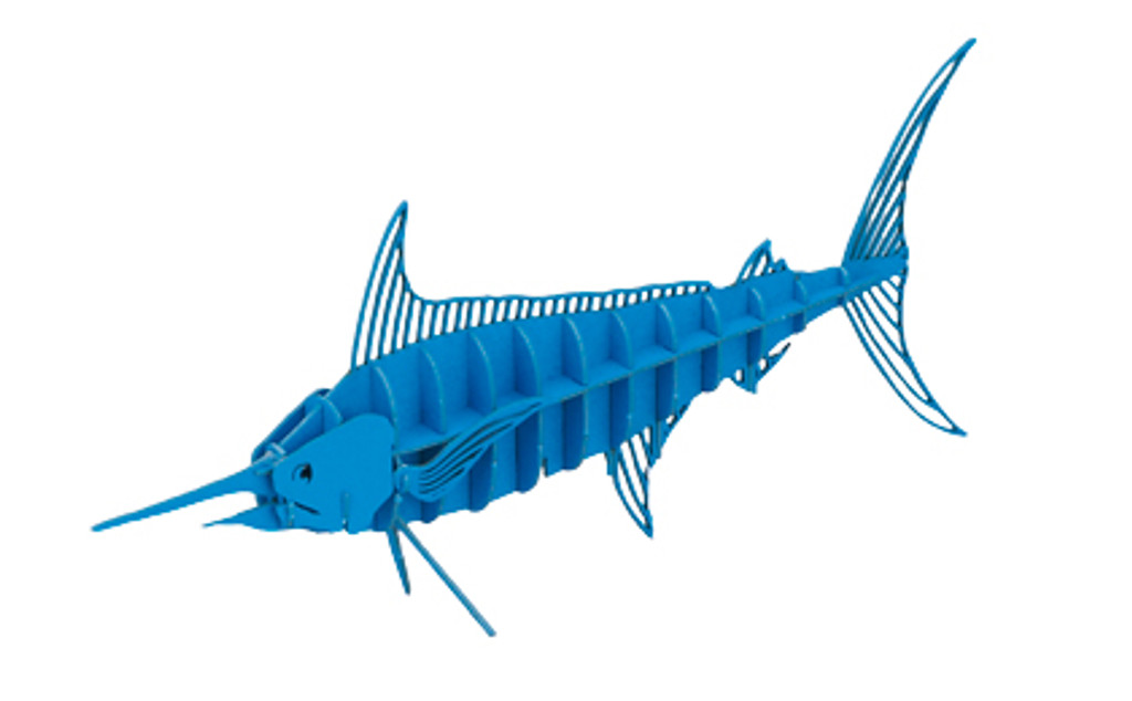 لغز سمكة أبو شراع المحيط الهادئ ثلاثية الأبعاد