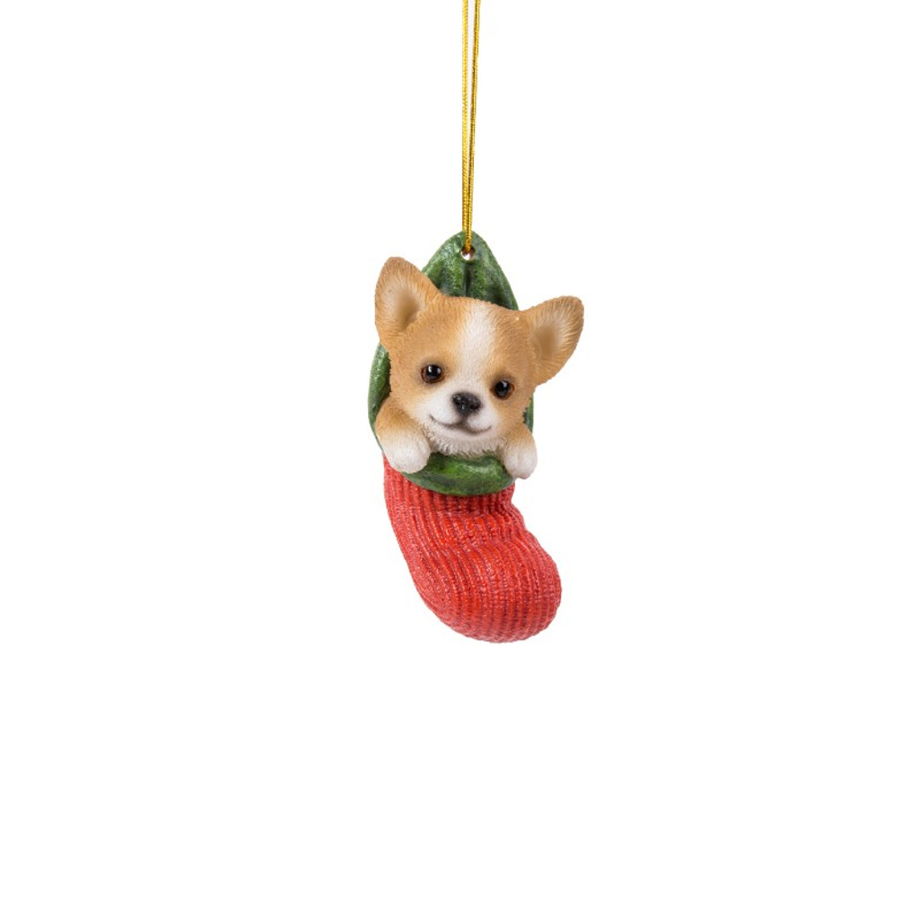 PT Chihuahua in Christmas Stocking Hand Painted Ornament