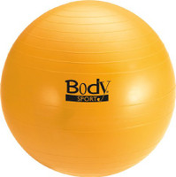 anti burst stability ball