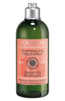 Champú reparador L'occitane/aromachologie 10.0 oz cabello seco y dañado 