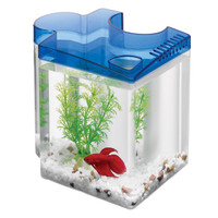 Kit d'aquarium puzzle Ra betta - bleu
