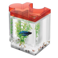 RA  Betta Puzzle Aquarium Kit - Red
