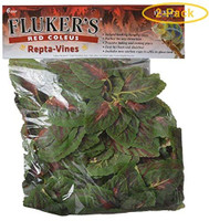 RA  Repta-Vines - Red Coleus - 6"
