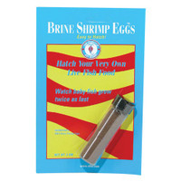 RA  Brine Shrimp Eggs - 6 g
