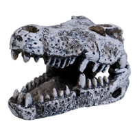 RA  Crocodile Skull - Mini
