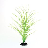 RA  Green Hairgrass - 16"
