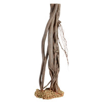 RA  Mangrove Root - Medium
