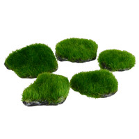 RA Mini Moss Rock - paquet de 5
