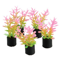 RA  Mini Plant - Pink and Green - 1.5" - 5 pk
