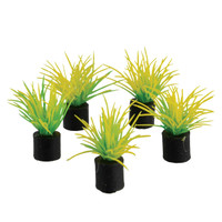 RA  Mini Plant - Spring Grass - 1.25" - 5 pk
