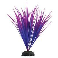 RA  Purple Nile Grass - 7.5"
