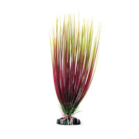 
RA  Red/Green Hairgrass - 12"
