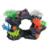 RA  Reef Scenery - Style D - Small
