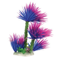 RA  Water Palm - Purple - 12"