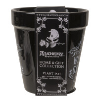 PT Black Cat Witches Garden Fine Bone China Planter Pot