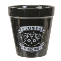 PT Black Catnip Feline Fine Fine Bone China Planter Pot