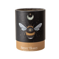 PT Dark Forest Bumblebee Sweet Honey Scented Candle 