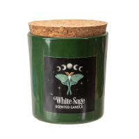 PT Dark Forest Luna Moth White Sage Scented Candle 