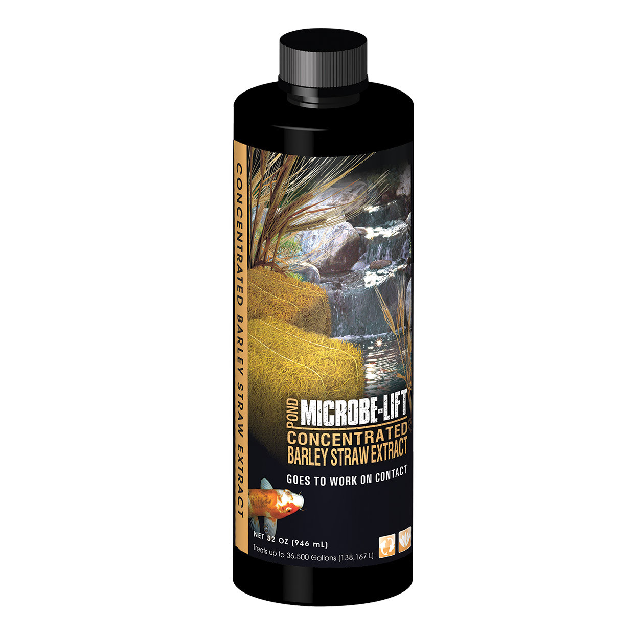 RA Concentrated Barley Straw Extract 32 oz