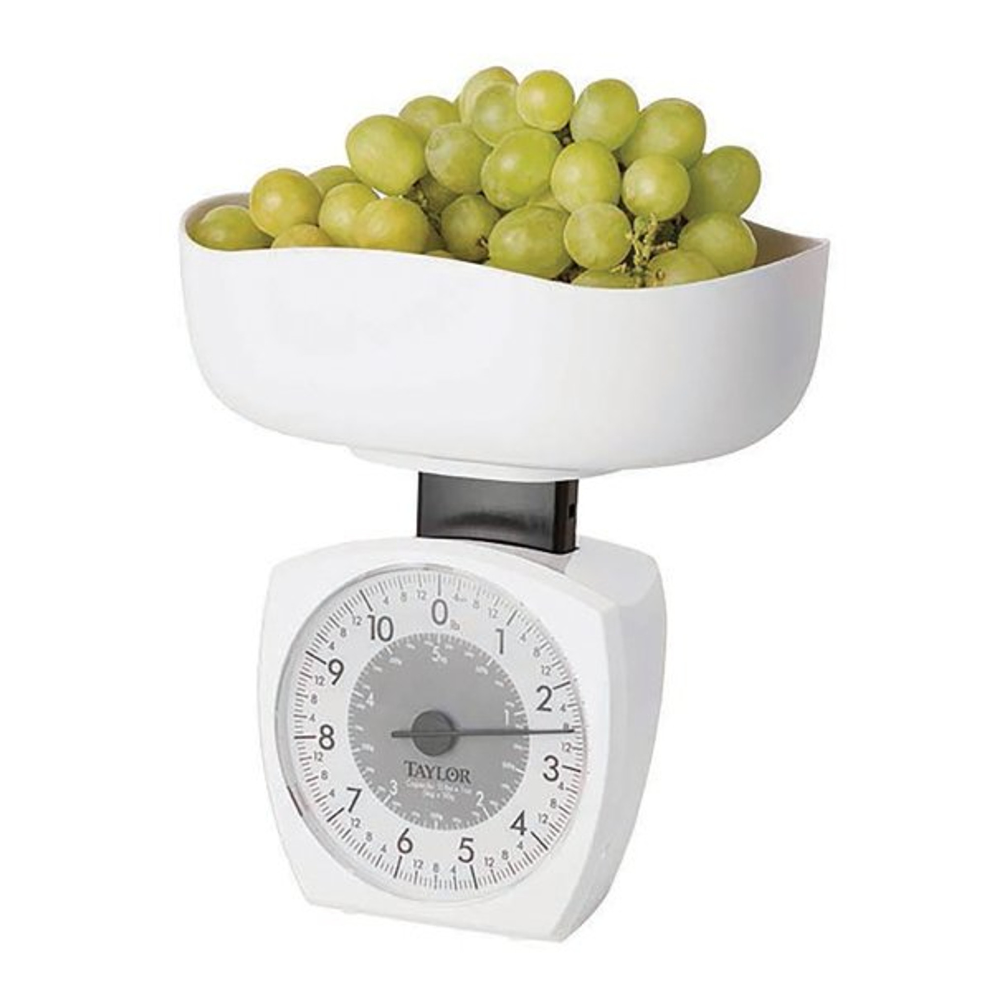 Taylor Precision Products Stainless Steel Kitchen Scale, 11lb -  drugsupplystore.com