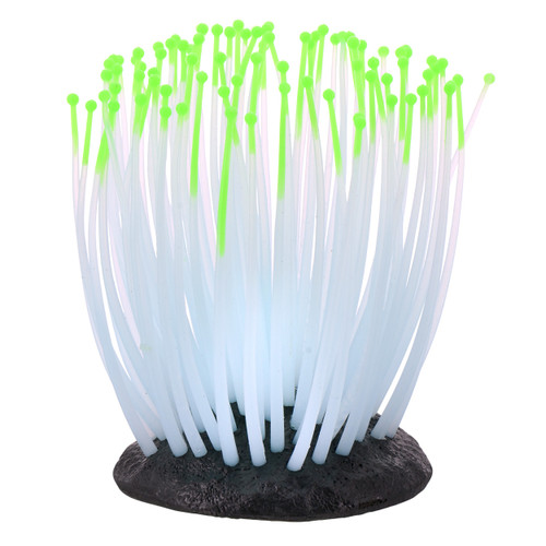 RA  Glowing Anemone - Green - Small
