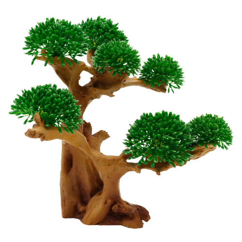 RA  Lucky Bonsai
