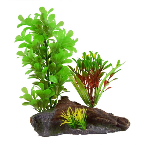 RA Green Ludwidgia On Wood RA Green Ludwidgia On Wood