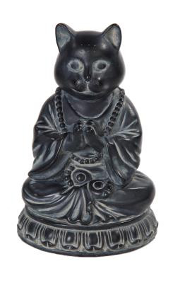MEDITATING CAT
